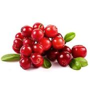 Yummy European Wild Lingonberries Brusnika Frozen 600g